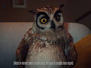 Virgin Campaign: Night Owl