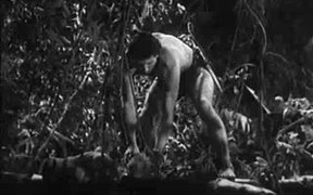 Tarzan's Revenge - Movie trailer - VIDEOTIME.COM