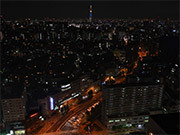 Tokyo Nightscapes