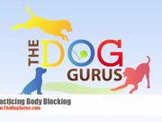 The Dog Gurus - Hula Hoop