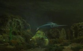 Stingray.07. The Golden Sea - Movie trailer - VIDEOTIME.COM