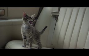 Keanu - Official Trailer - Movie trailer - VIDEOTIME.COM
