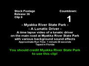 Myakka Park - Lunatic Driver