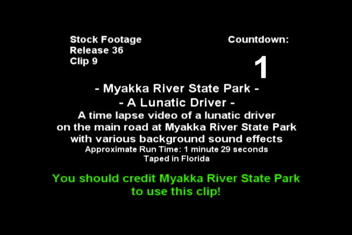 Myakka Park - Lunatic Driver