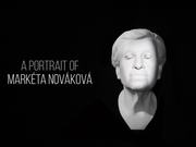 The Bust of Marketa Novakova