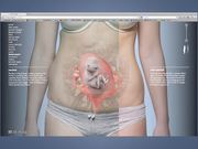Cancer Society - Tobacco Body case film