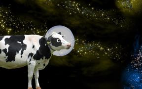 I’m a Cow In Space - Las Vegas Mobsquad