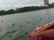 Fleet of Oil Spill Collecting Sailing Robots