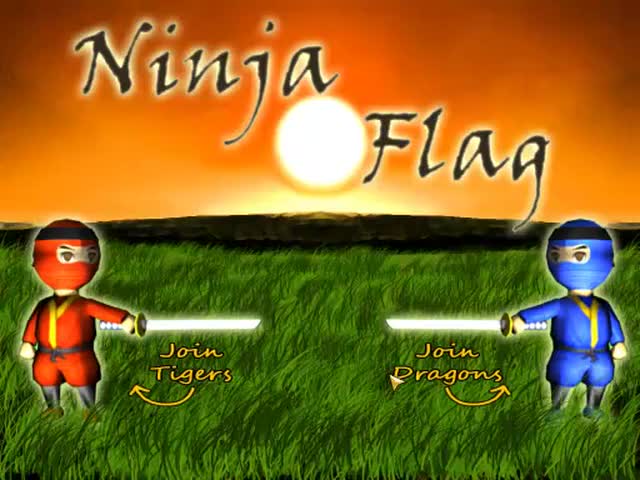 Ninja Flag
