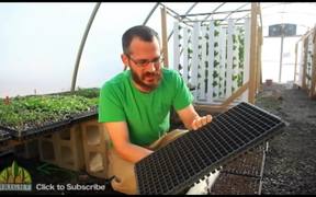 Planting Seeds and Using Plug Trays