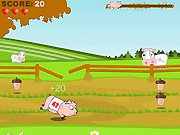 Pig Race - Arcade & Classic - Y8.COM