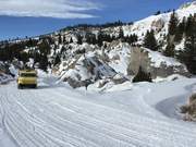 Yellowstone Bombardier Snowcoaches