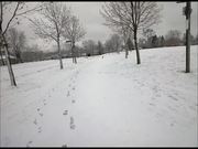 Walking Through a Winter Wonderland