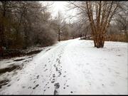 Walking Through a Winter Wonderland