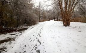 Walking Through a Winter Wonderland - Animals - VIDEOTIME.COM
