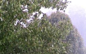 Wind and Rain - Fun - VIDEOTIME.COM