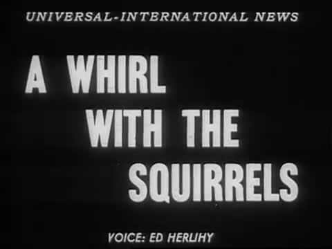 Whirl with the Squirrels
