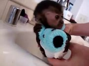Baby Monkey Nala Gets a Bath - Animals - Y8.COM