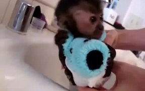 Baby Monkey Nala Gets a Bath