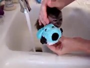 Baby Monkey Nala Gets a Bath - Animals - Y8.COM