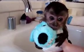 Baby Monkey Nala Gets a Bath - Animals - Videotime.com